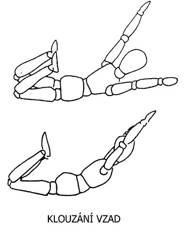 Klouzání vzad