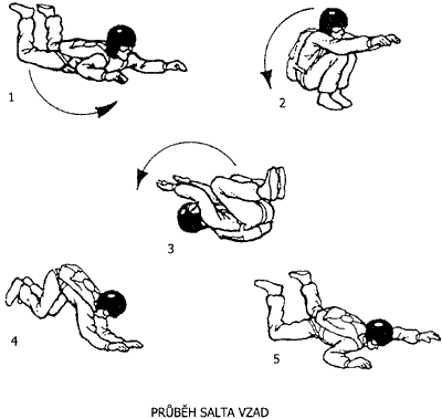 Průběh salta vzad